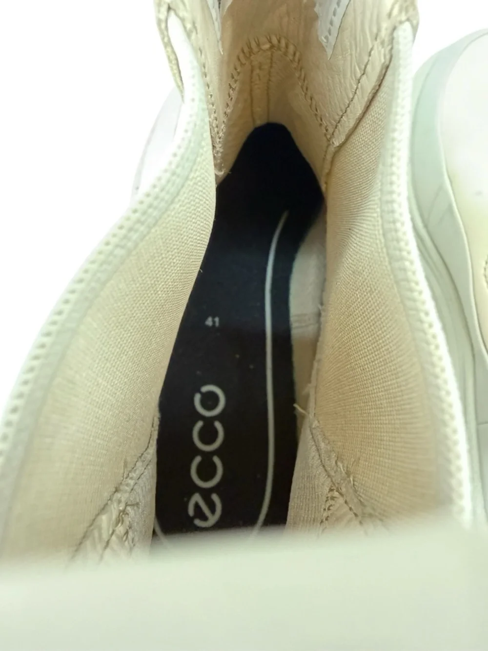 Ecco say hello